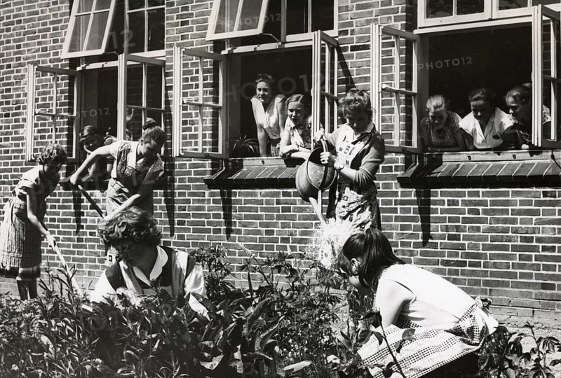 Women gardening