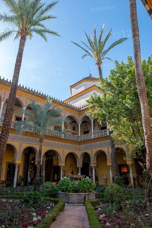 Courtyard with palm trees
