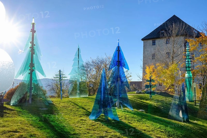 Glass Forest