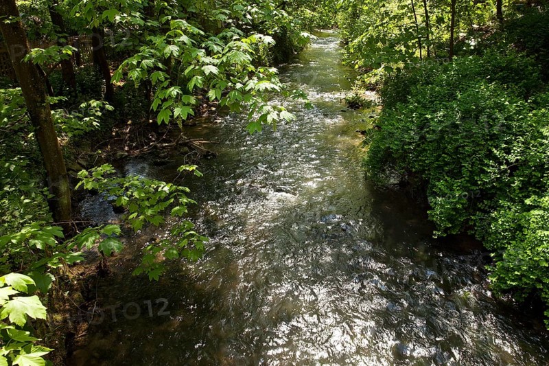 River Dussel im Neandertal