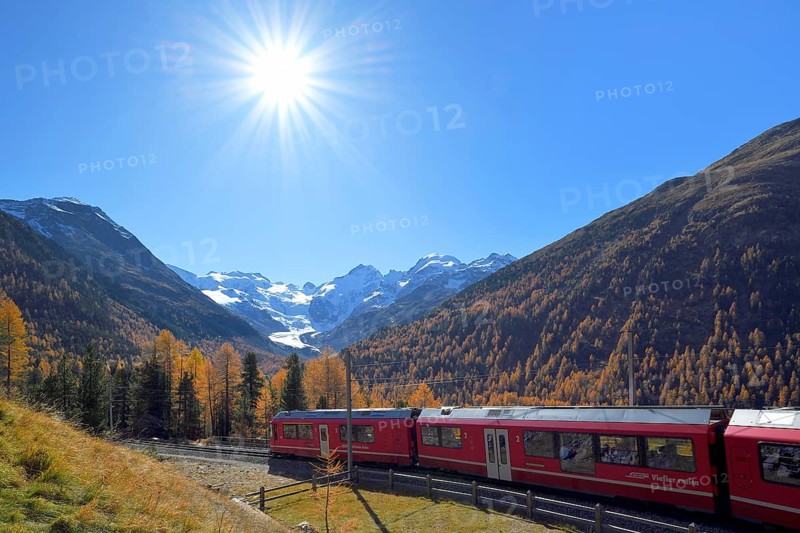 Bernina Express runs through larch forest in autumn