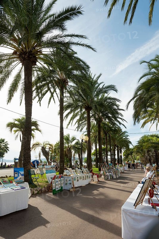 Palm trees on the beach promenade