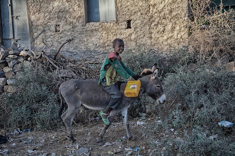 Child rides on donkey