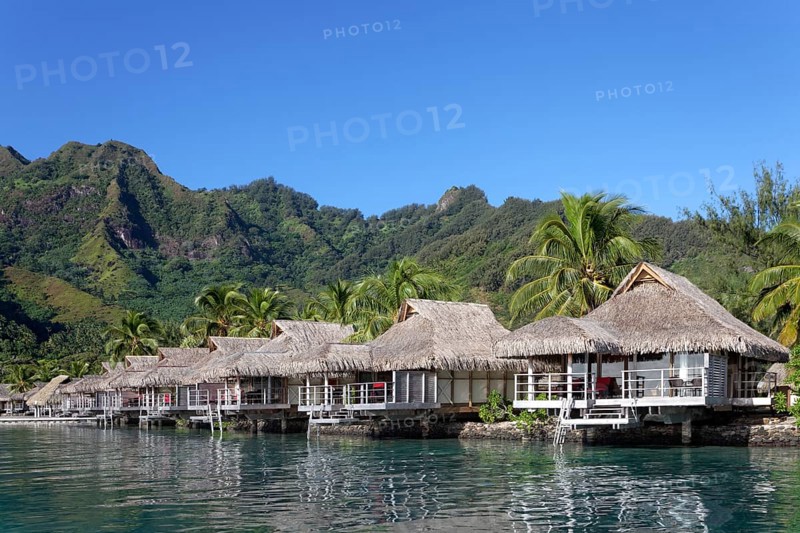 Bungalows by the sea with palm trees in front of green hills