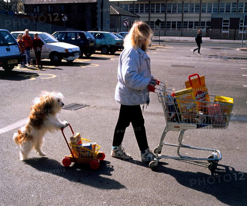 Woman and dog with shopping cart