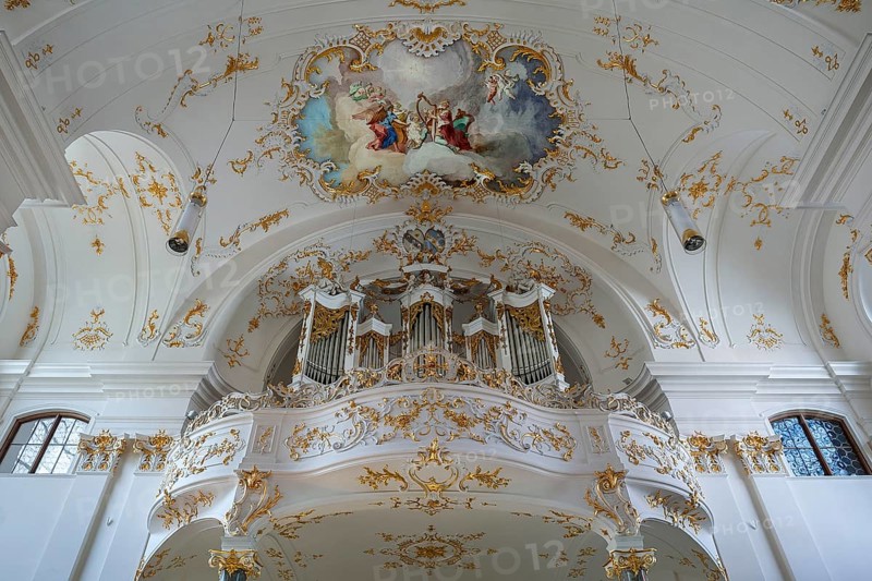 Organ gallery