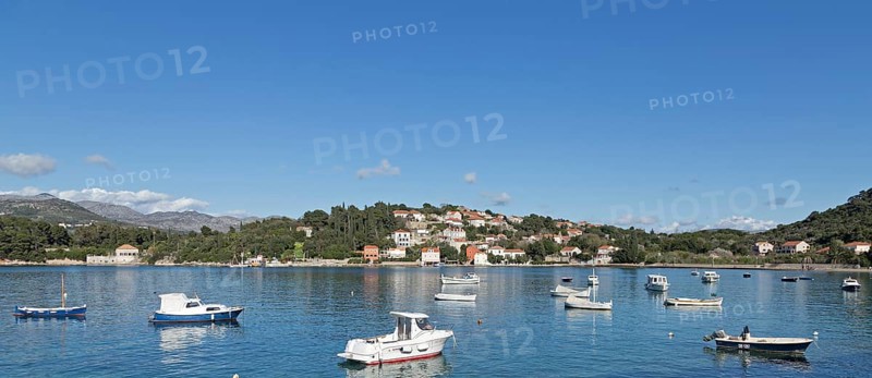 Boats