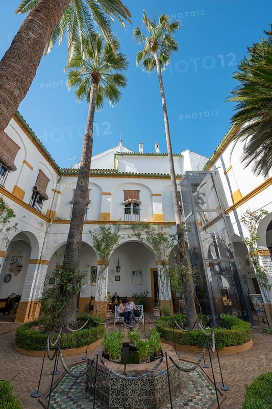 Courtyard with palm trees