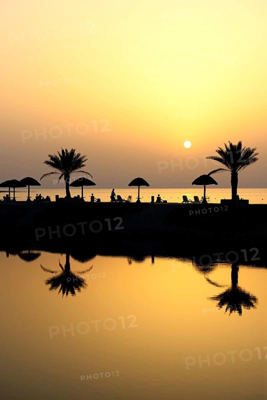 Sunset with water reflection from palm trees and sunshades