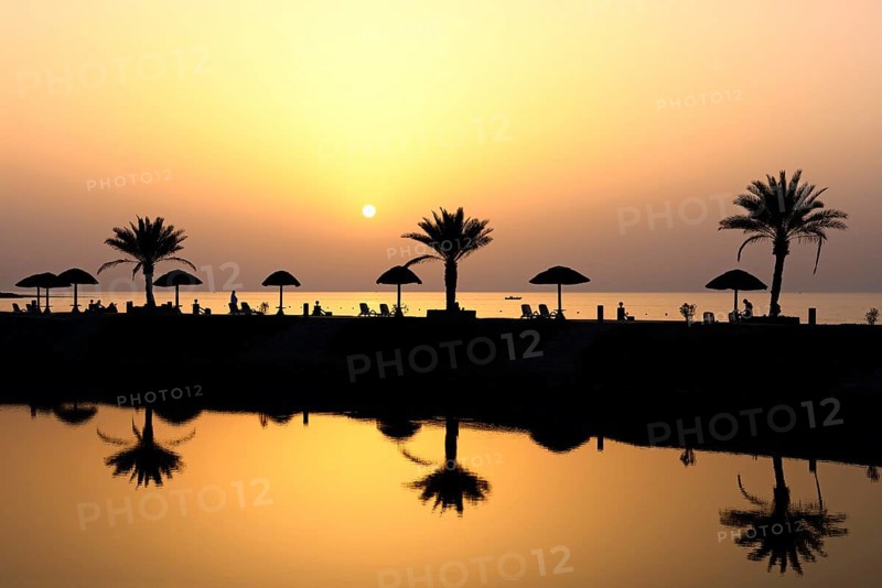 Sunset with water reflection from palm trees and sunshades