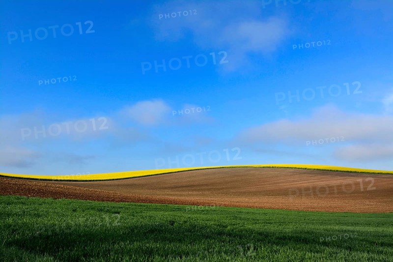 Hilly agricultural landscape