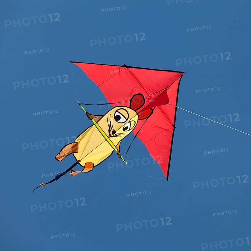 Kite with the Show with the mouse figure