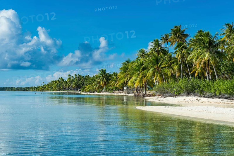 Palm fringed white sand beach in the turquoise waters of Tikehau