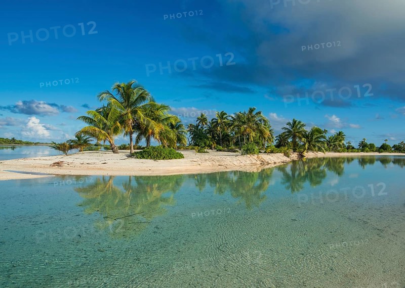 Palm fringed white sand beach in the turquoise waters of Tikehau