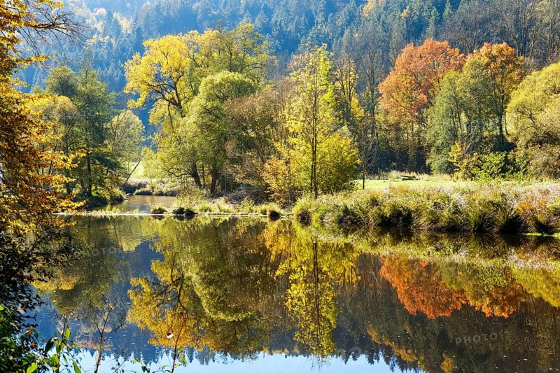 Ilz near Schrottenbaummuhle