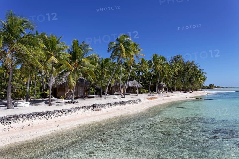 Bungalows on the beach under palm trees