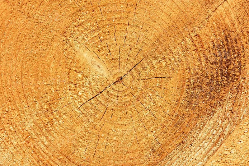 Log