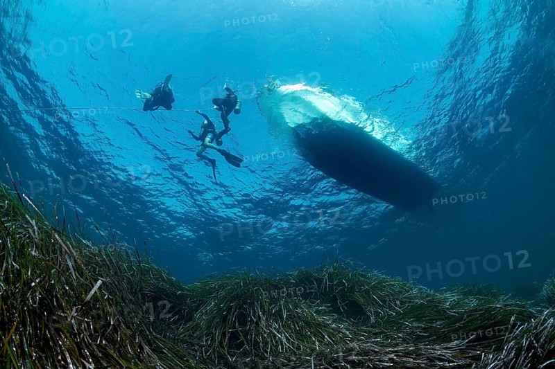 Divers dive on rope