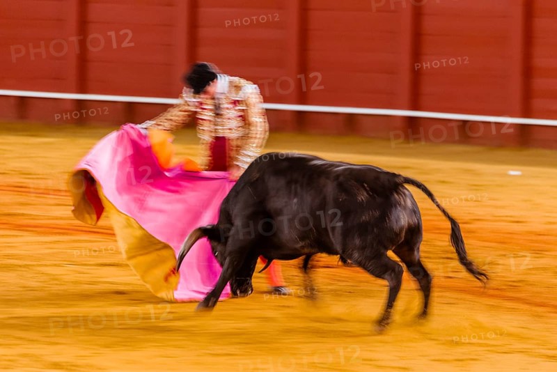 Racing bull with matador