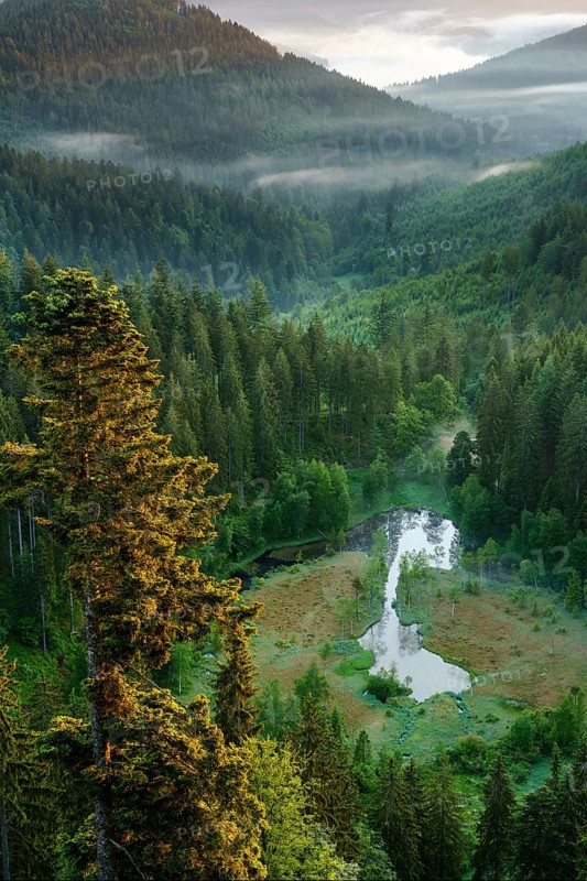 View from the viewing platform Ellbachseeblick