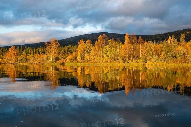 Autumn landscape