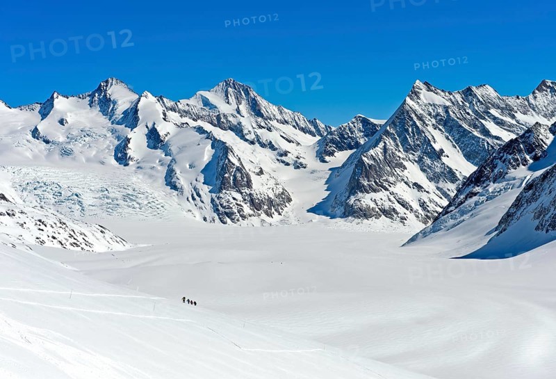 View from the Lotschenlucke over the snow-covered Grosser Aletschfirn towards Konkordiaplatz and the Bernese Alps