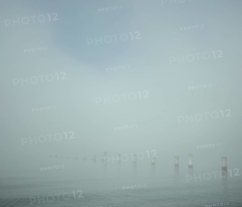 Morning mist