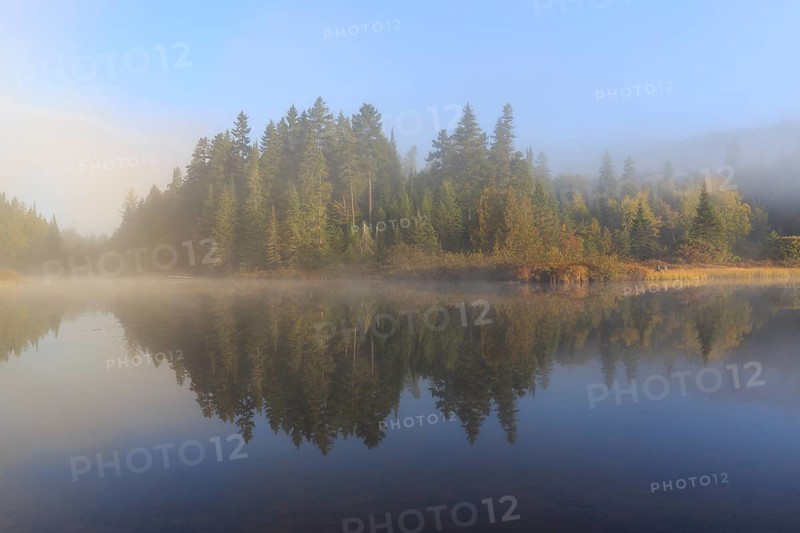 Morning fog