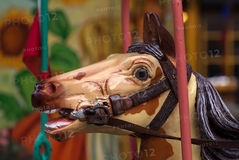 Horse head of a nostalgic children's carousel