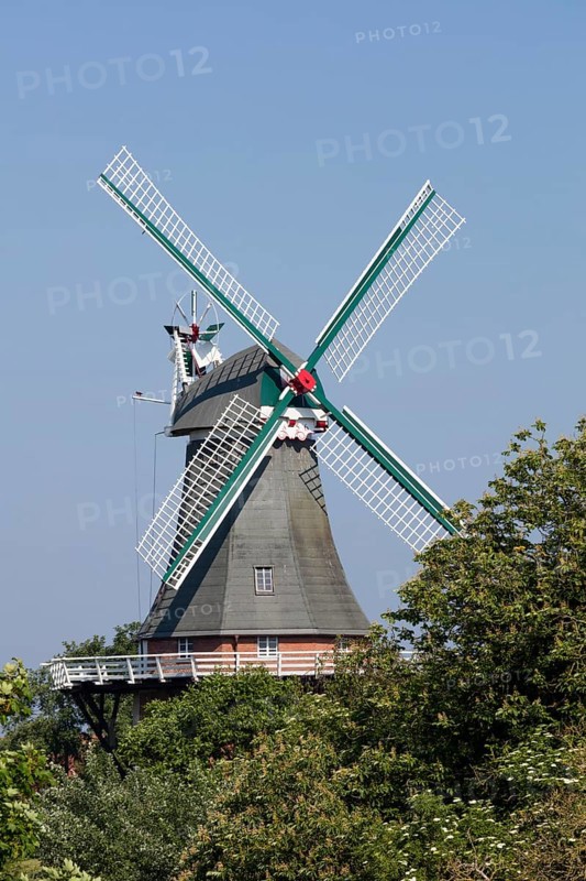 Gallery Dutchman