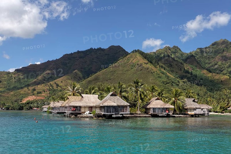 Bungalows by the sea with palm trees in front of green hills