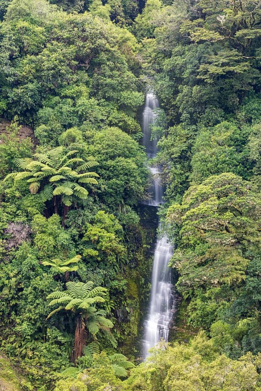 Small waterfall in the rainforest