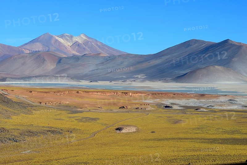 Lagune Salar de Talar mit kahlen Bergen Cerros de Incahuasi und Paso de Sica