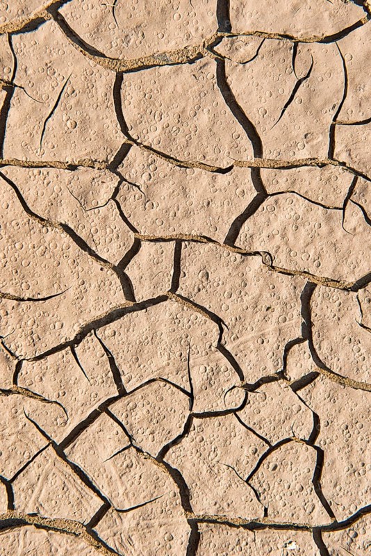 Drying cracks in clay soil