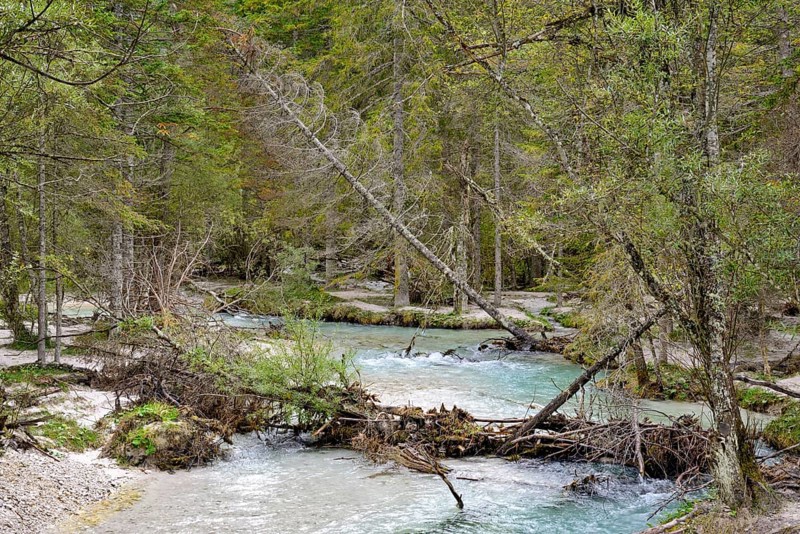 Mountain creek Rienz flows into the Lake Toblach