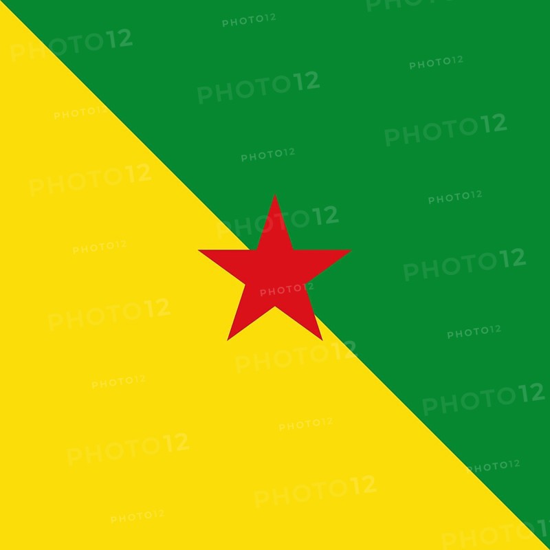 Official national flag of French Guiana