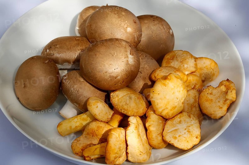 Various edible mushrooms in bowl