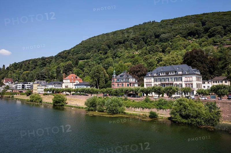 Houses on the banks of the Neckar