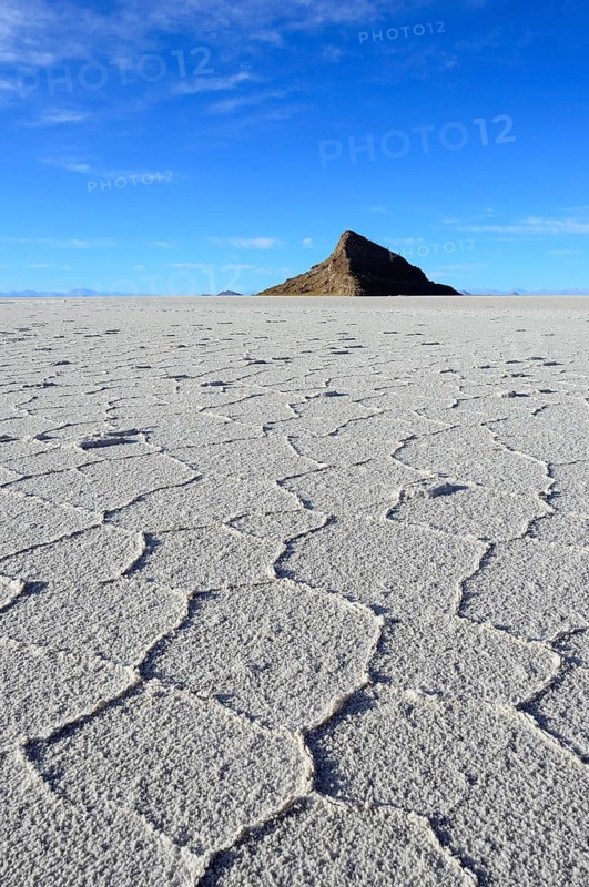 Honeycomb structure on the salt lake