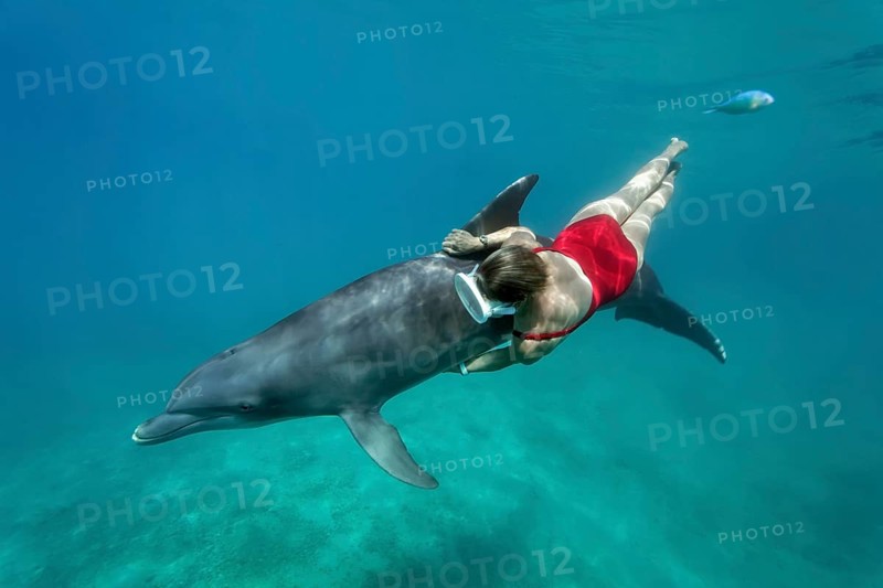 Female freediver with Bottlenose dolphin (Tursiops truncatus)