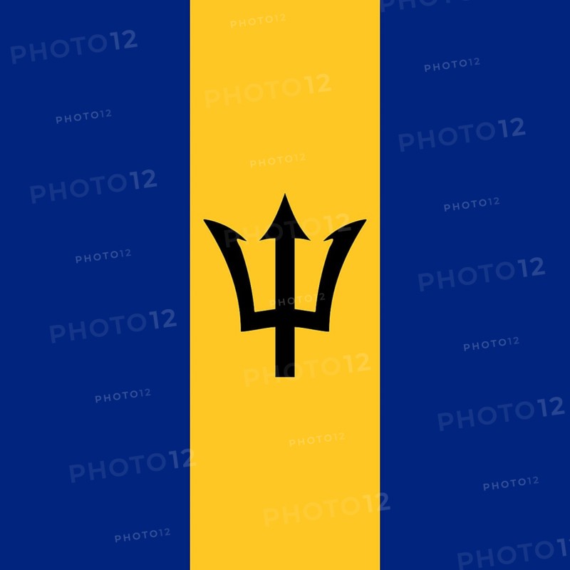 Official national flag of Barbados