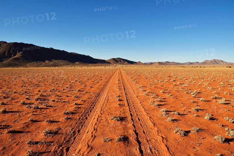 Sandtrack through desert landscape