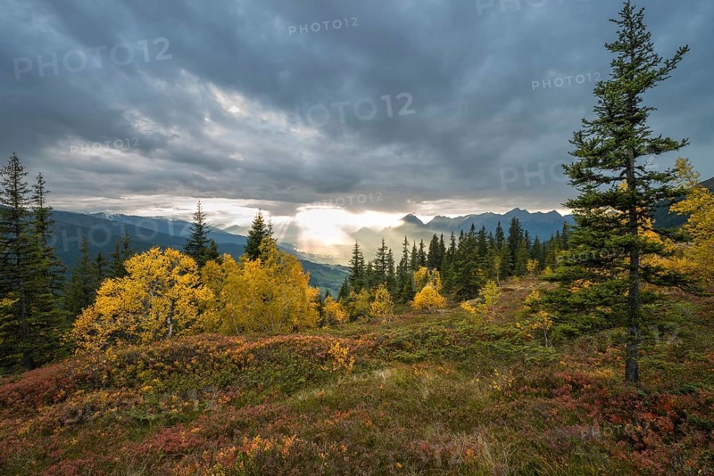 Naunz in autumn