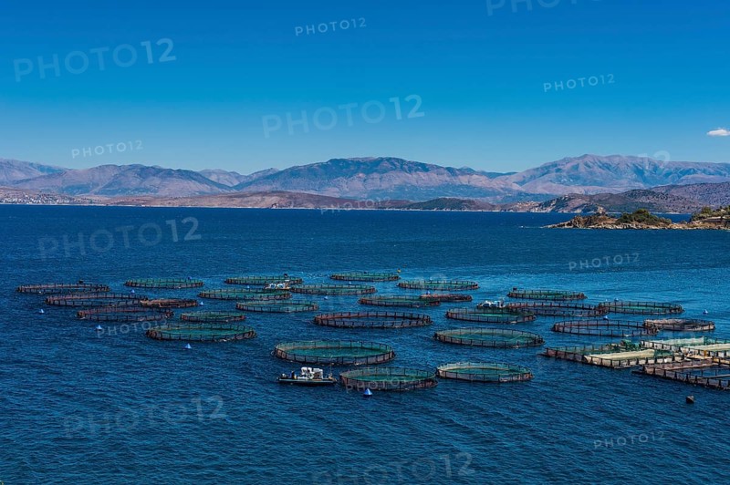 Fishfarm in Kassiopi