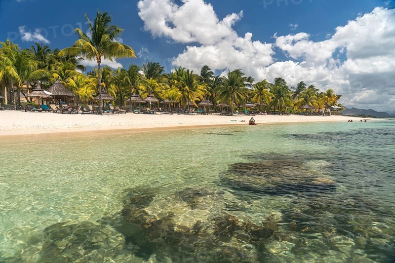 Dream beach with palm trees at the bay of Turtle Bay