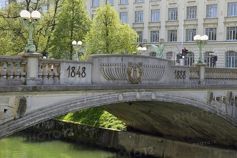 Dragon Bridge