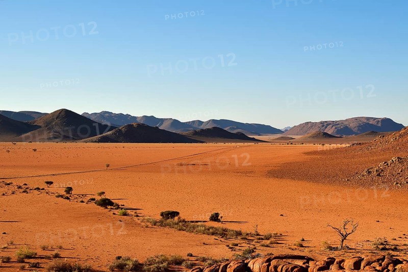 Desert Landscape