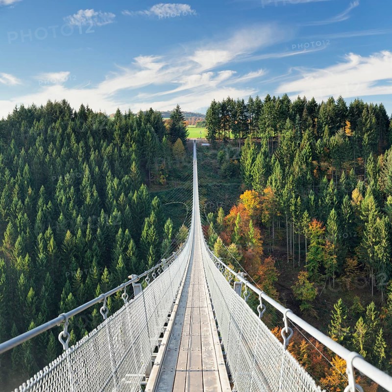 Hanging rope bridge Geierlay