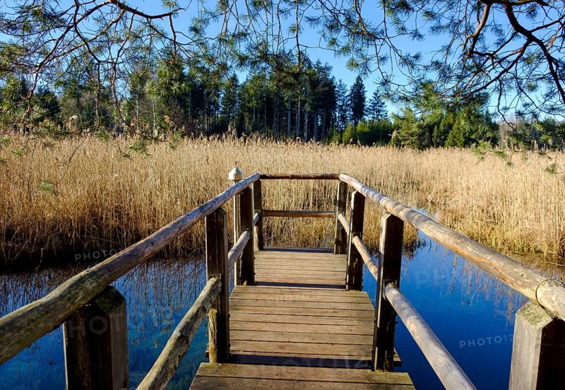 Pier at Quelltrichter