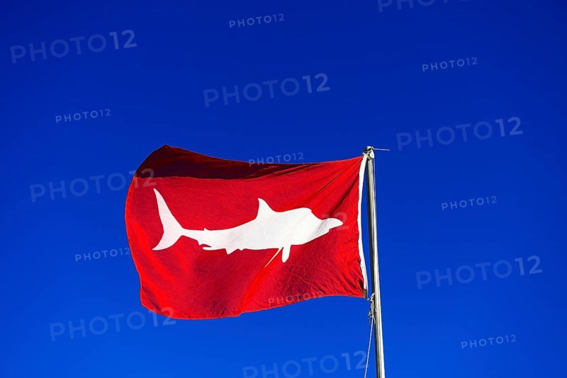 Red Flag signals high white shark danger